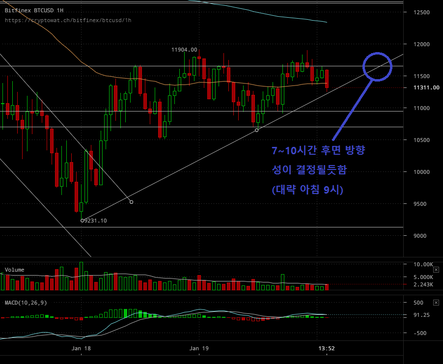 bitfinex-btcusd-Jan-20-2018-3-46-9.png