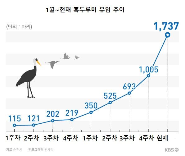 흑두루미 유입.jpg