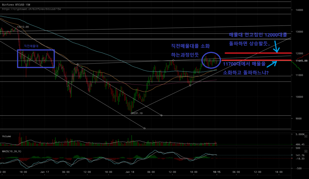 bitfinex-btcusd-Jan-19-2018-1-34-46.png